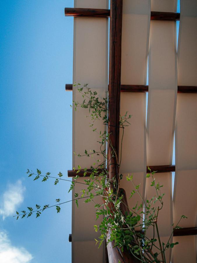 Villa Braou ロダキノ エクステリア 写真